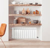 Биметаллический радиатор отопления Fondital 350/100 Alustal Plus 12 секций