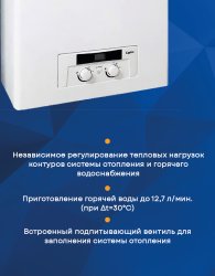 Настенный газовый котел Protherm Рысь НК 24
